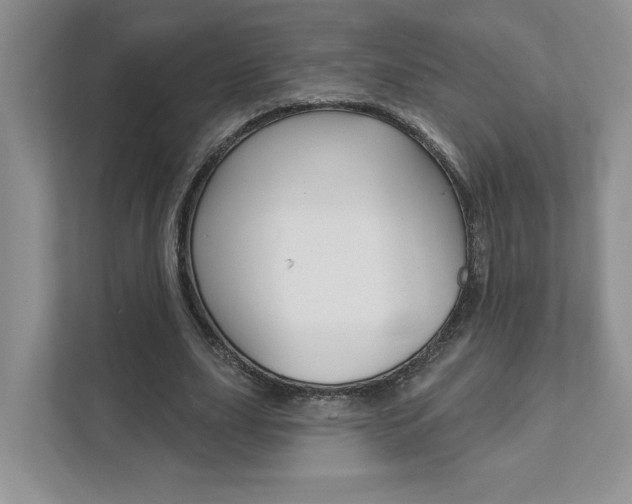 X0000111890631200907231448