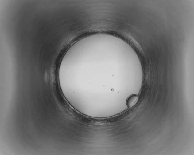 X0000111890635200907231448