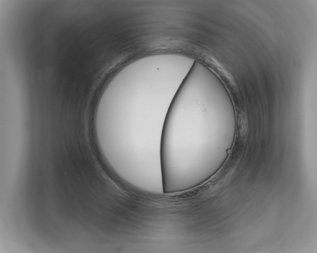X0000111890637200907231448