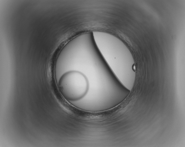X0000111890638200907231448