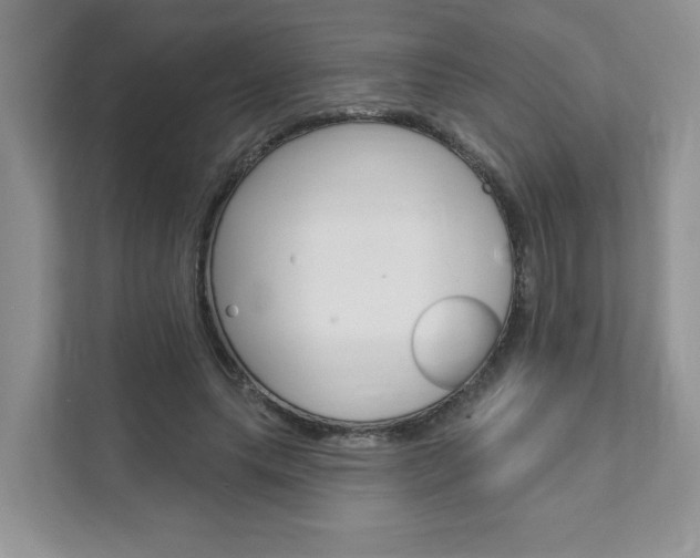 X0000111890639200907231448