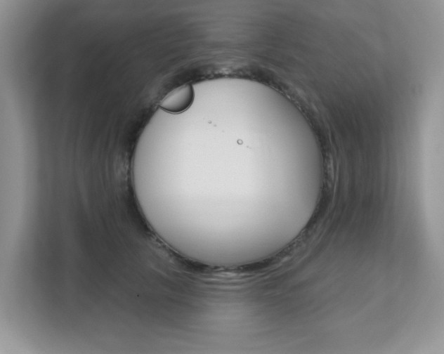 X0000111890657200907231448