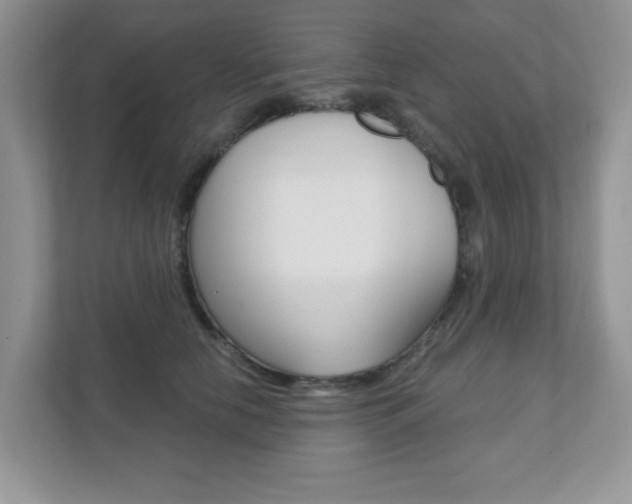 X0000111890658200907231448