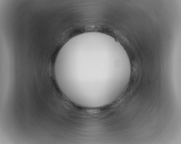 X0000111890659200907231448