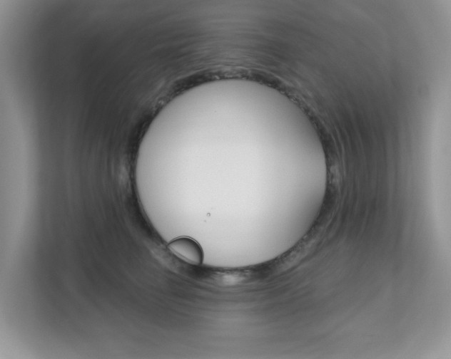 X0000111890662200907231448
