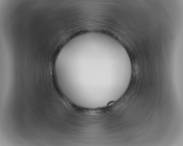 X0000111890664200907231448