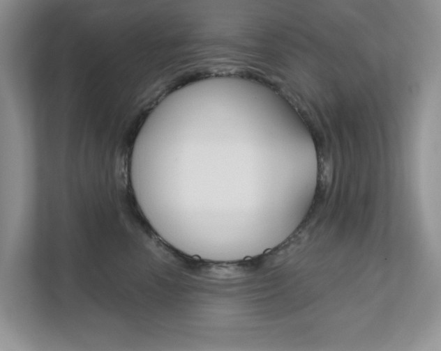 X0000111890666200907231448