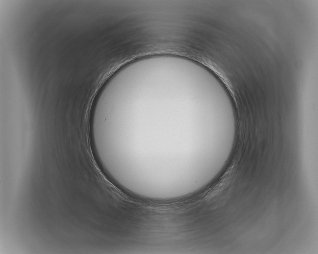 X0000111890673200907231448