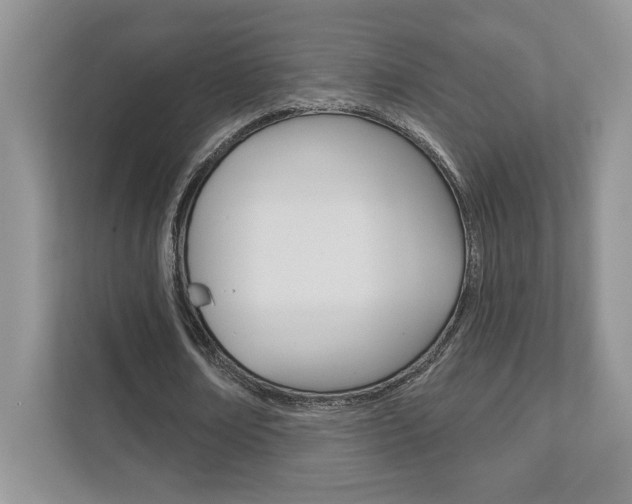 X0000111890674200907231448