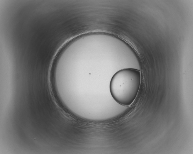 X0000111890676200907231448