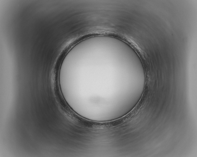 X0000111890679200907231448