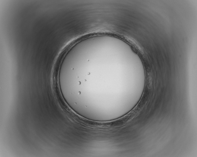 X0000111890680200907231448