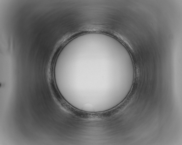 X0000111890682200907231448