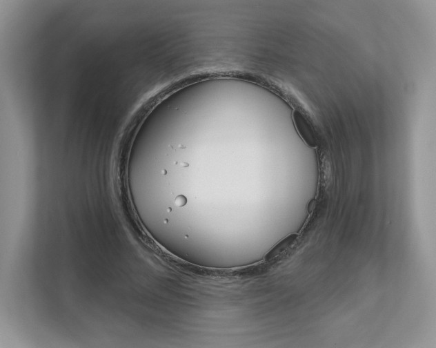 X0000111890684200907231448
