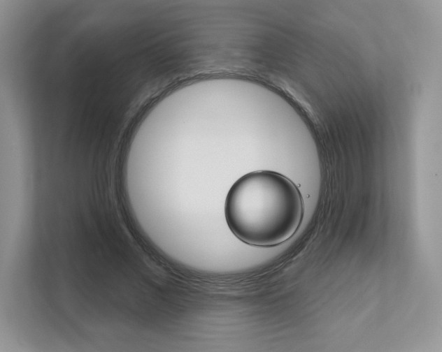 X0000111890685200907231448