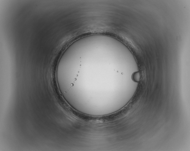 X0000111890687200907231448