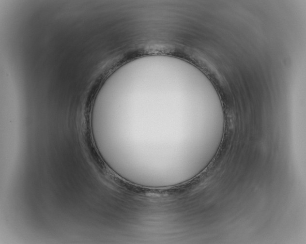 X0000111890690200907231448
