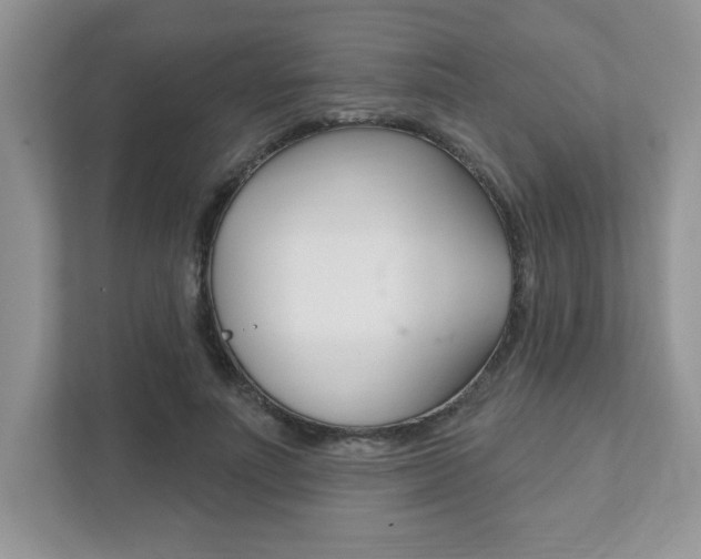 X0000111890691200907231448