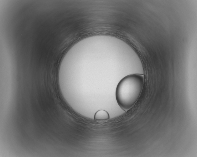 X0000111890696200907231448