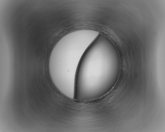 X0000111890697200907231448