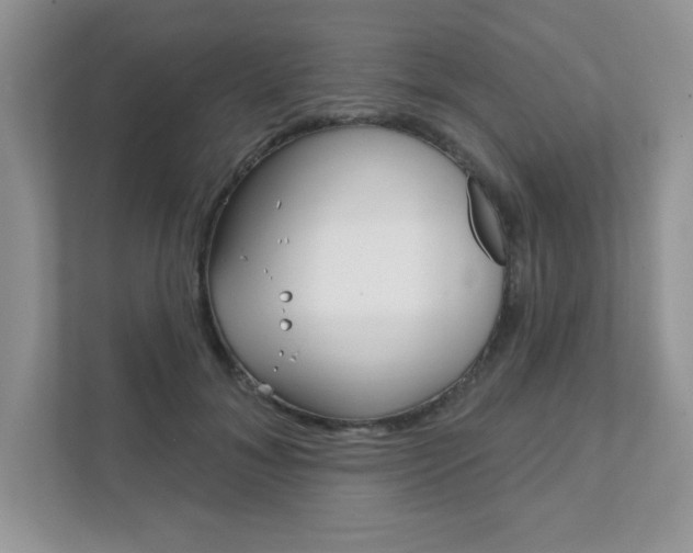 X0000111890700200907231447