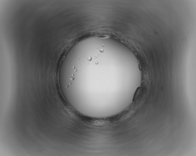 X0000111890708200907231447