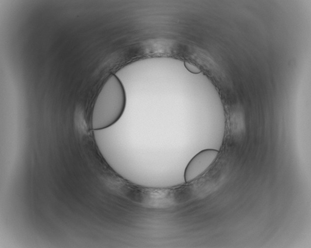 X0000111890709200907231447