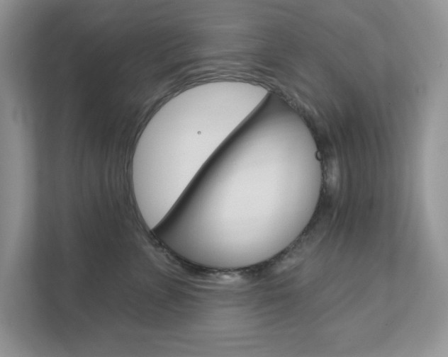 X0000111890715200907231447