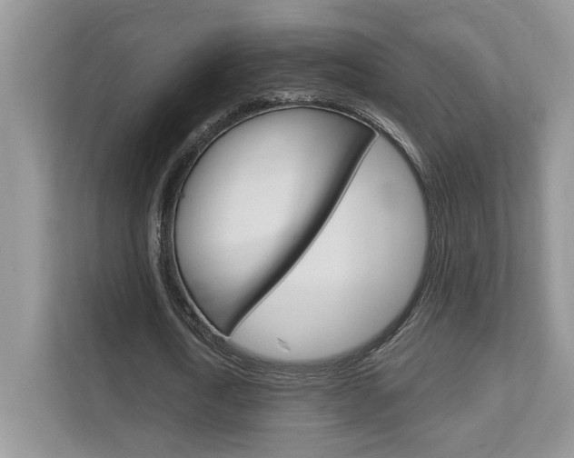 X0000111890722200907231447