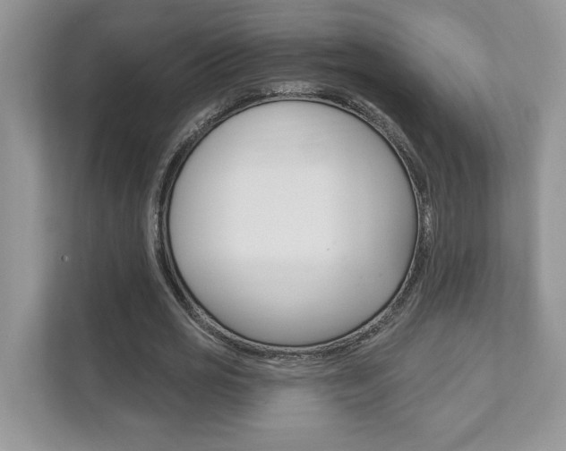 X0000111890725200907231447