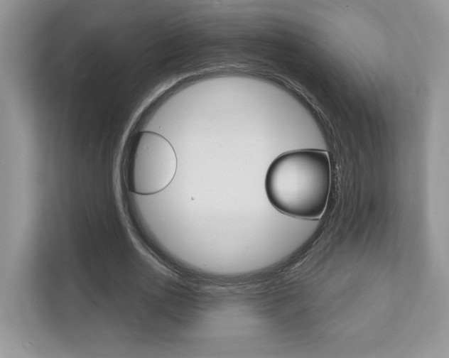 X0000111890726200907231447