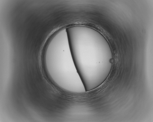 X0000111890727200907231447