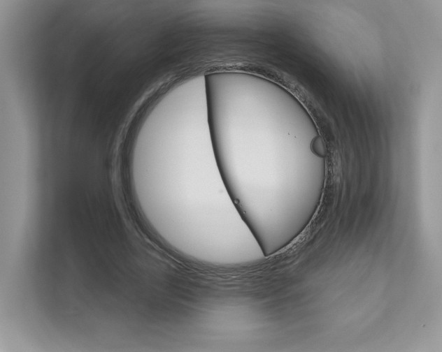 X0000111890731200907231447