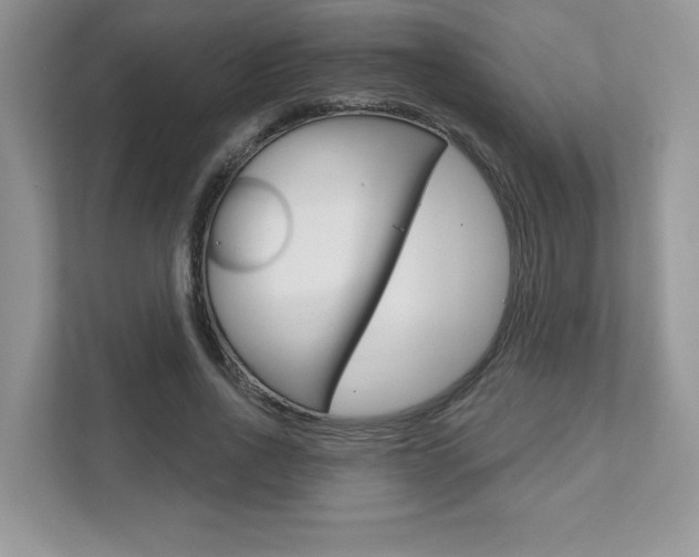 X0000111890734200907231447
