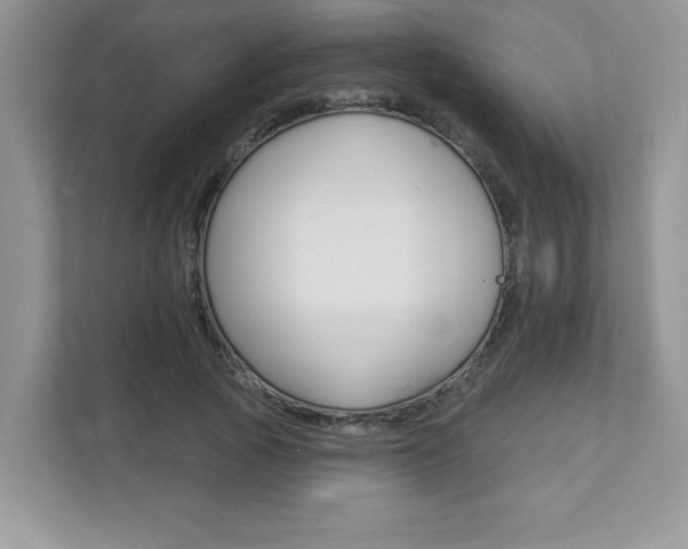 X0000111890737200907231447