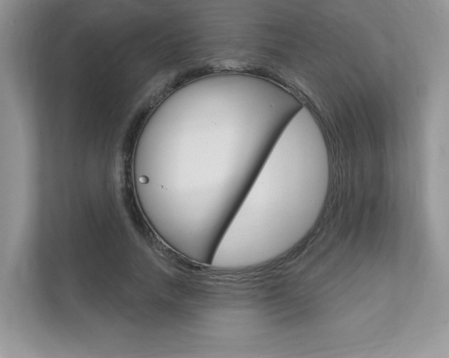 X0000111890738200907231447