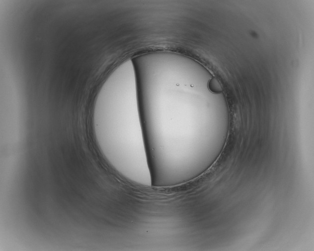 X0000111890739200907231447