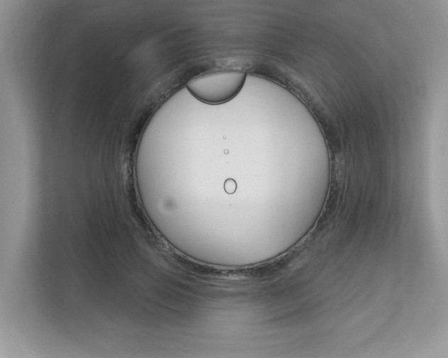 X0000111890741200907231447
