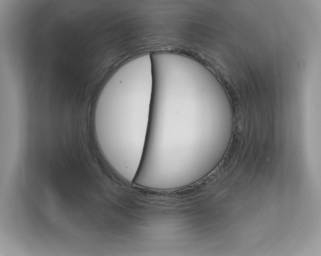 X0000111890743200907231447