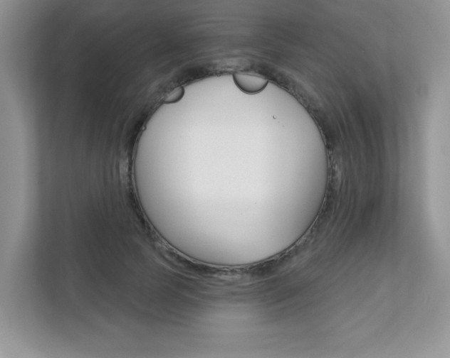 X0000111890745200907231447