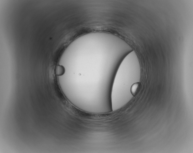 X0000111890746200907231447