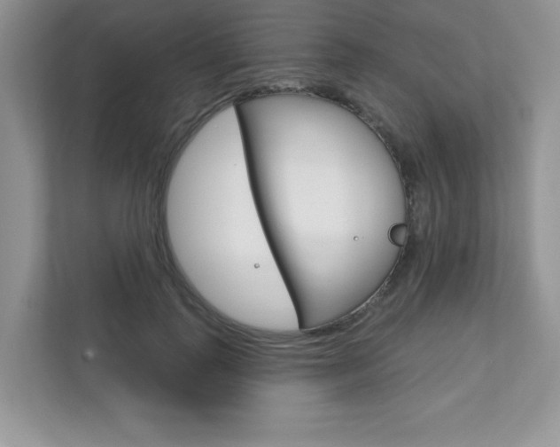 X0000111890747200907231447