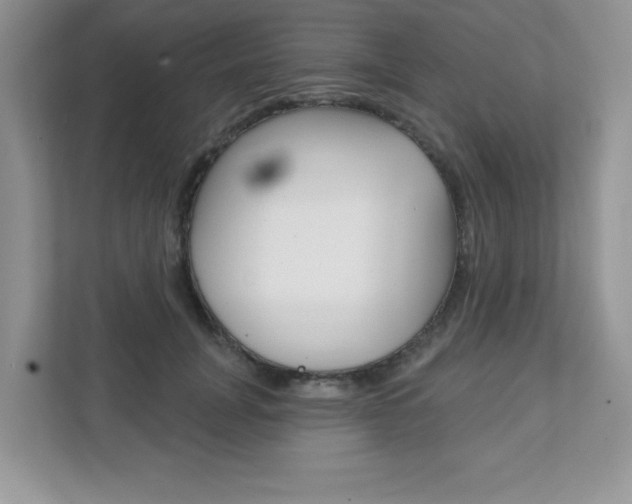 X0000111890751200907231447