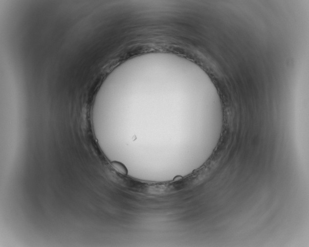 X0000111890757200907231447