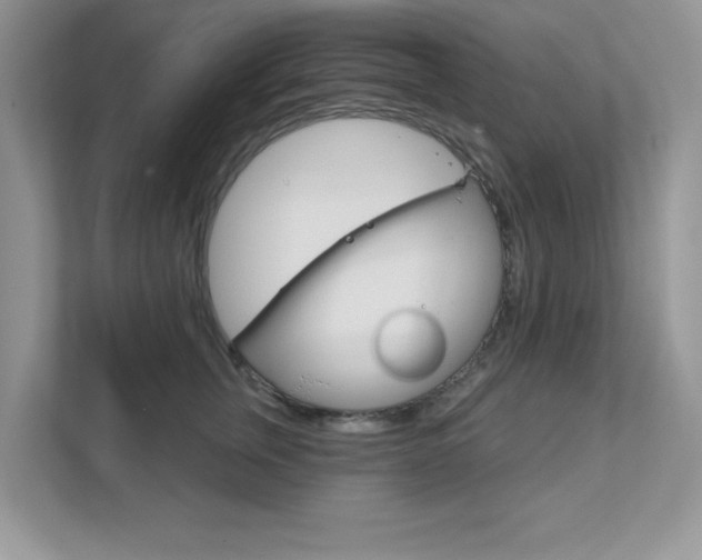 X0000111890759200907231447