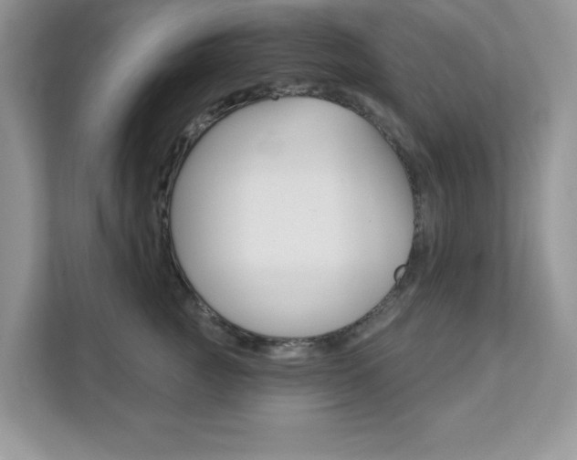 X0000111890761200907231447