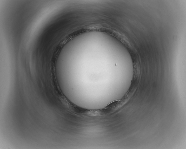 X0000111890762200907231447