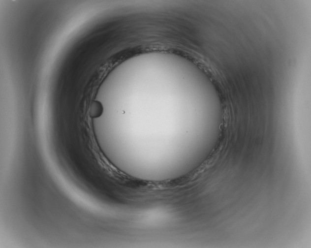 X0000111890764200907231447