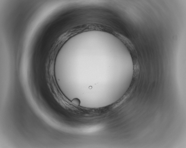 X0000111890765200907231447
