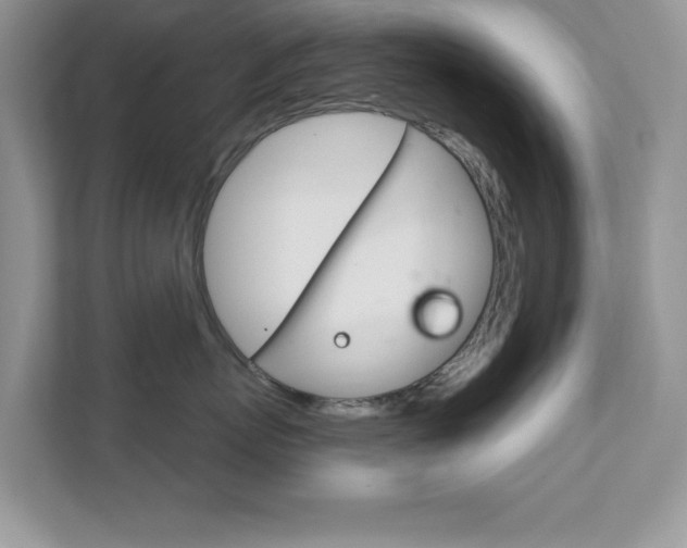 X0000111890767200907231447